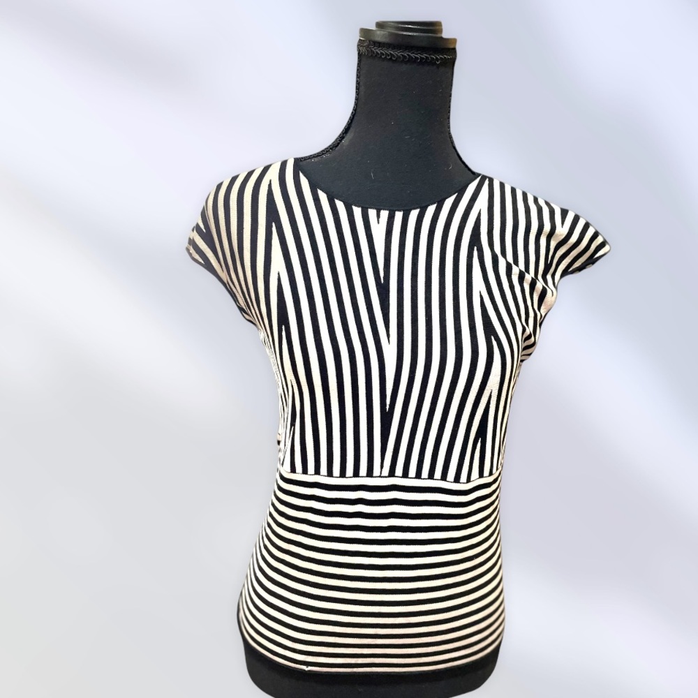 Stripped V neck line neck blouse T-shirt